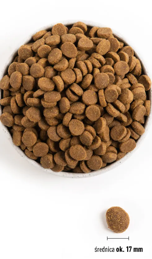 Acana Adult Large Breed Sucha Karma dla psa op. 17kg