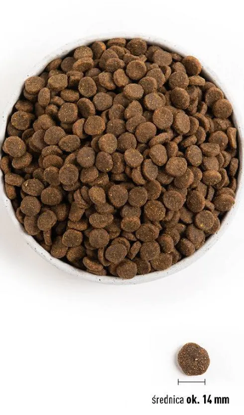 Acana Grass-Fed Lamb Sucha Karma dla psa op. 11.4kg