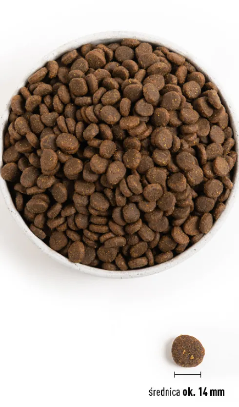 Acana Ranchlands Sucha Karma dla psa op. 11.4kg