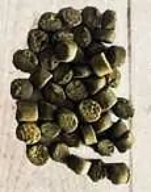 Alpha Spirit 7 Days Formula Karma sucha dla psa op. 12kg