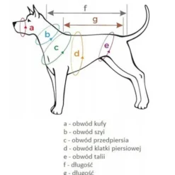 Amiplay Obroża BeHappy dla psa rozm. M (25-40cm) wzór Cherry