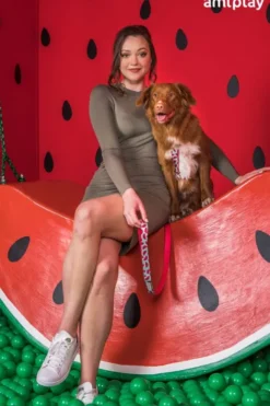 Amiplay Obroża BeHappy dla psa rozm. M (25-40cm) wzór Watermelon