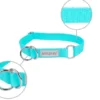 Amiplay Obroża półzaciskowa Samba dla psa rozm. XL (40-60cm) kolor turkusowy