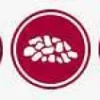 Animonda Integra Protect Diabetes z wołowiną (rind) Mokra Karma dla kota op. 100g