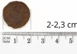 Baltica Hypoallergenic Adult Large Venison&Rice Sucha karma dla psa op. 12kg + Baltica Przysmak Hello Summer i Piłka plażowa GRATIS