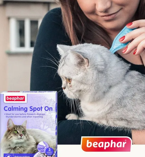 Beaphar Preparat uspokajający Calming Spot On dla kota op. 3 pipety