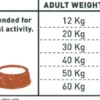 Bravery Adult Mini Lamb Grain Free Sucha karma dla psa op. 7kg