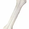 Bravo (PetsUp) Kość prasowana mięta dla psa dł. 25cm