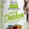 Brit Care Przysmak Superfruits Chicken dla kota op. 100g