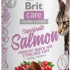 Brit Care Przysmak Superfruits Salmon dla kota op. 100g