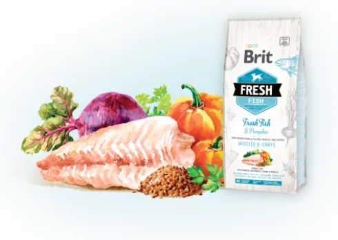 Brit Fresh Adult Large Breed Fish with Pumpkin Sucha Karma dla psa op. 2x12kg MEGA-PAK