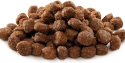 Brit Premium by Nature Adult Large Sucha Karma dla psa op. 2x15kg MEGA-PAK
