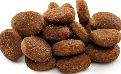 Brit Premium by Nature Junior Extra Large Sucha Karma dla szczeniaka op. 15kg