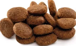 Brit Premium by Nature Junior Extra Large Sucha Karma dla szczeniaka op. 2x15kg MEGA-PAK