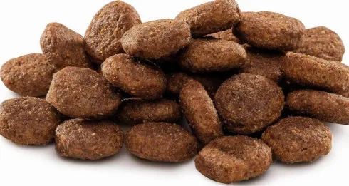 Brit Premium by Nature Junior Large Breed Sucha Karma dla szczeniaka op. 2x15kg MEGA-PAK