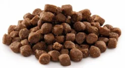 Brit Premium by Nature Junior Small Sucha Karma dla szczeniaka op. 3kg