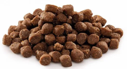 Brit Premium by Nature Junior Small Sucha Karma dla szczeniaka op. 3kg