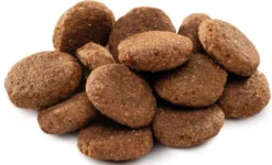 Brit Premium by Nature Senior Large&Extra Large Sucha Karma dla psa op. 15kg