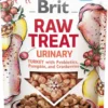 Brit Przysmak Raw Treat Urinary Turkey dla psa op. 40g