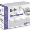 Brit Veterinary Diet Gastrointestinal Lamb Mokra Karma dla kota op. 85g Pakiet 12szt. SASZETKA