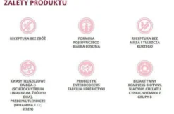Brit Veterinary Diet Hypoallergenic Salmon&Pea Mokra Karma dla kota op. 200g Pakiet 6szt.