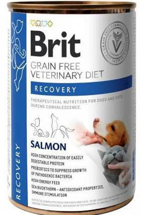Brit Veterinary Diet Recovery Salmon Mokra Karma dla psa i kota op. 400g