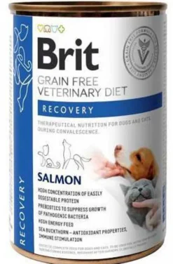 Brit Veterinary Diet Recovery Salmon Mokra Karma dla psa i kota op. 400g Pakiet 6szt.