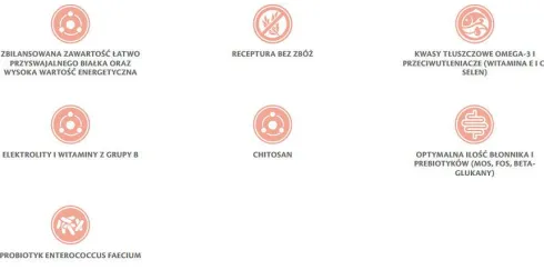 Brit Veterinary Diet Renal Egg&Pea Sucha Karma dla psa op. 2kg