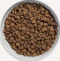 Canagan Cat Country Game Sucha Karma dla kota op. 4kg