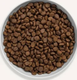 Canagan Cat Free Range Chicken Sucha Karma dla kota op. 1.5kg