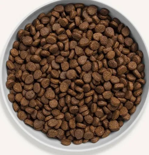 Canagan Cat Free Range Chicken Sucha Karma dla kota op. 1.5kg
