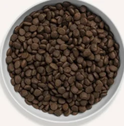 Canagan Cat Scottish Salmon Sucha Karma dla kota op. 1.5kg