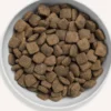 Canagan Grass-Fed Lamb Sucha Karma dla psa op. 2kg