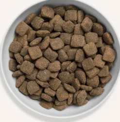 Canagan Grass-Fed Lamb Sucha Karma dla psa op. 2kg