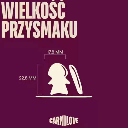 Carnilove Cat Adult Snack Crunchy Salmon Przysmak dla kota op. 50g