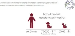 Champ-Richer Profesjonalna Odżywka do sierści białej dla psa poj. 250ml