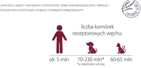 Champ-Richer Profesjonalny Szampon dla psa rasy York poj. 250ml