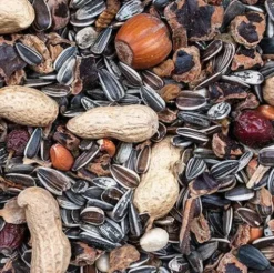 Deli Nature Greenline Nut Mix Mieszanka dla wiewiórek i ptaków op. 500g