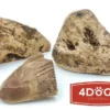 4 Dogs Original Gryzak z korzenia wrzośca dla psa rozm. L