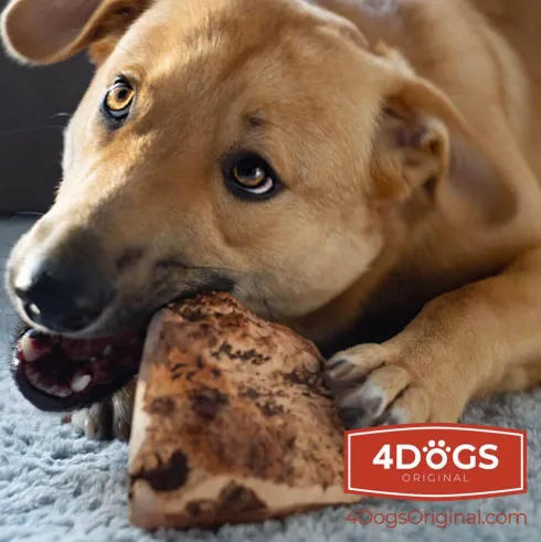 4 Dogs Original Gryzak z korzenia wrzośca dla psa rozm. M WYPRZEDAŻ