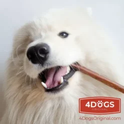 4 Dogs Original Gryzak z penisa wołowego dla psa rozm. L