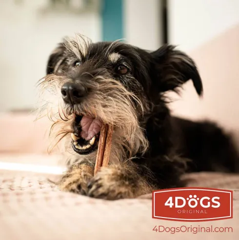 4 Dogs Original Gryzak z penisa wołowego dla psa rozm. S