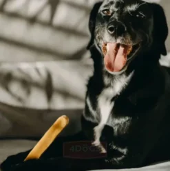 4 Dogs Original Przysmak Ser Himalajski dla psa rozm. L op. 1szt.