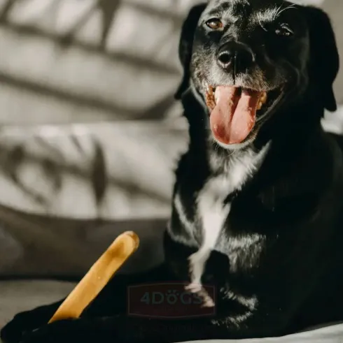 4 Dogs Original Przysmak Ser Himalajski dla psa rozm. L op. 1szt.