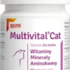 Dolfos Preparat witaminowy Multivital CAT dla kota op. 90 tabletek