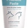 Dolfos Probiotic Pasta na przewód pokarmowy dla psa i kota op. 50g