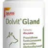 Dolvit Preparat na prawidłowe funkcjonowanie gruczołów Gland dla psa op. 60 tabletek