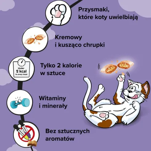 Dreamies Mix Przysmak z kurczakiem i kaczką dla kota op. 60g Pakiet 6szt.