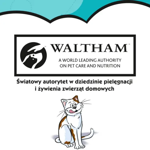 Dreamies Mix Przysmak z serem i o smaku łososia dla kota op. 60g