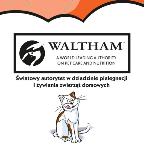 Dreamies Przysmak Mega Pudełko Pyszny Kurczak dla kota op. 350g